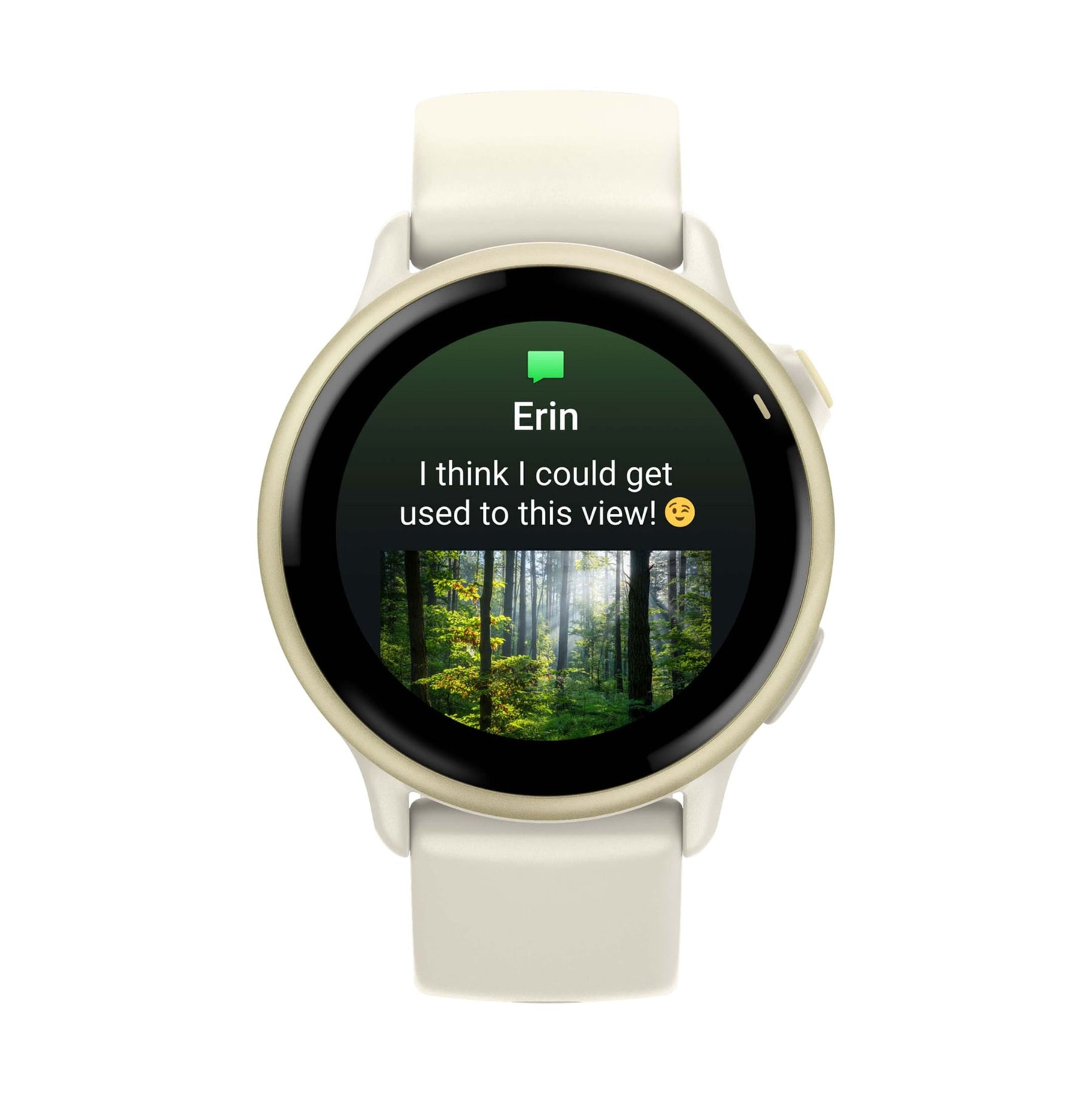 Умные часы Garmin Vivoactive 6 Lunar Gold with Bone Silicone