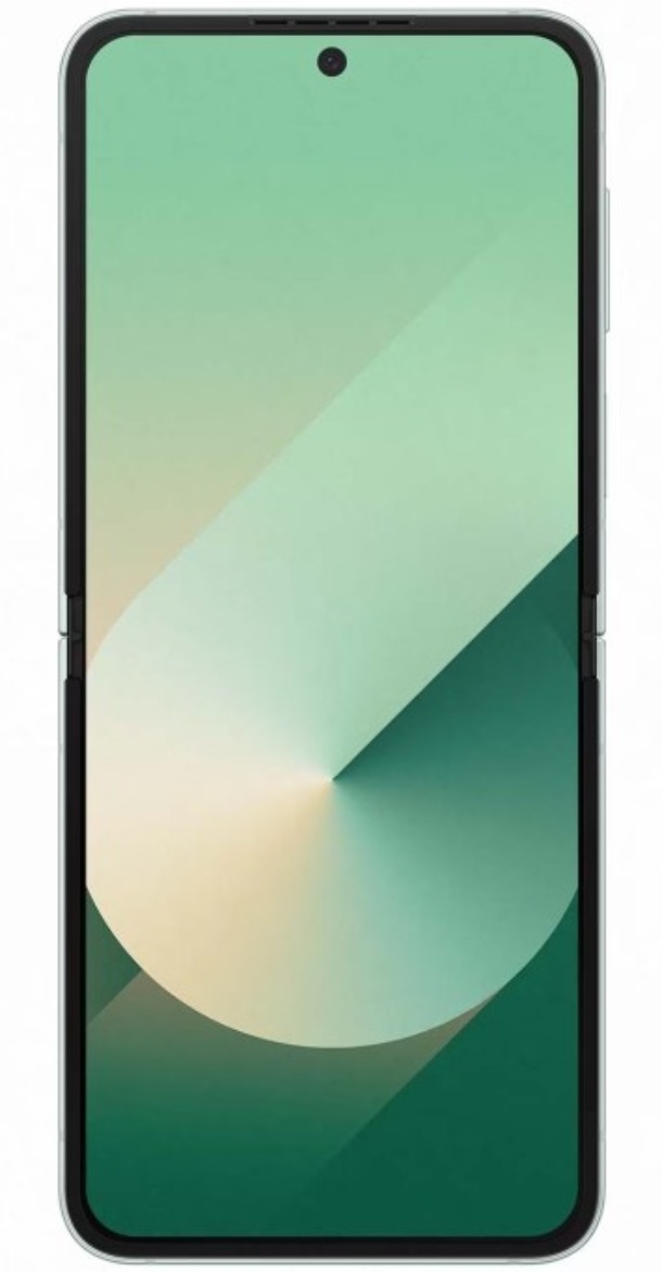 Samsung Galaxy Z Flip6 5G 12/512Гб, Мятный